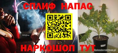 стаф Балахна