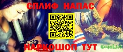 индика Ирбит