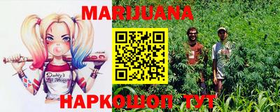 индика Ирбит