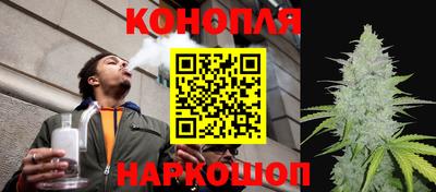 индика Ирбит