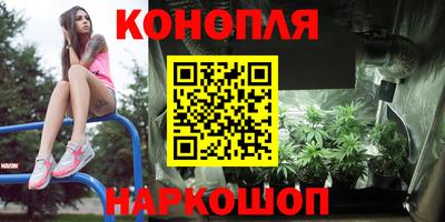 индика Ирбит