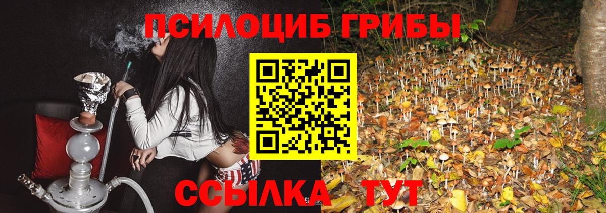 Псилоцибиновые грибы прущие грибы  Вход с VPN  Псилоцибиновые грибы MAGIC MUSHROOMS  Чита 