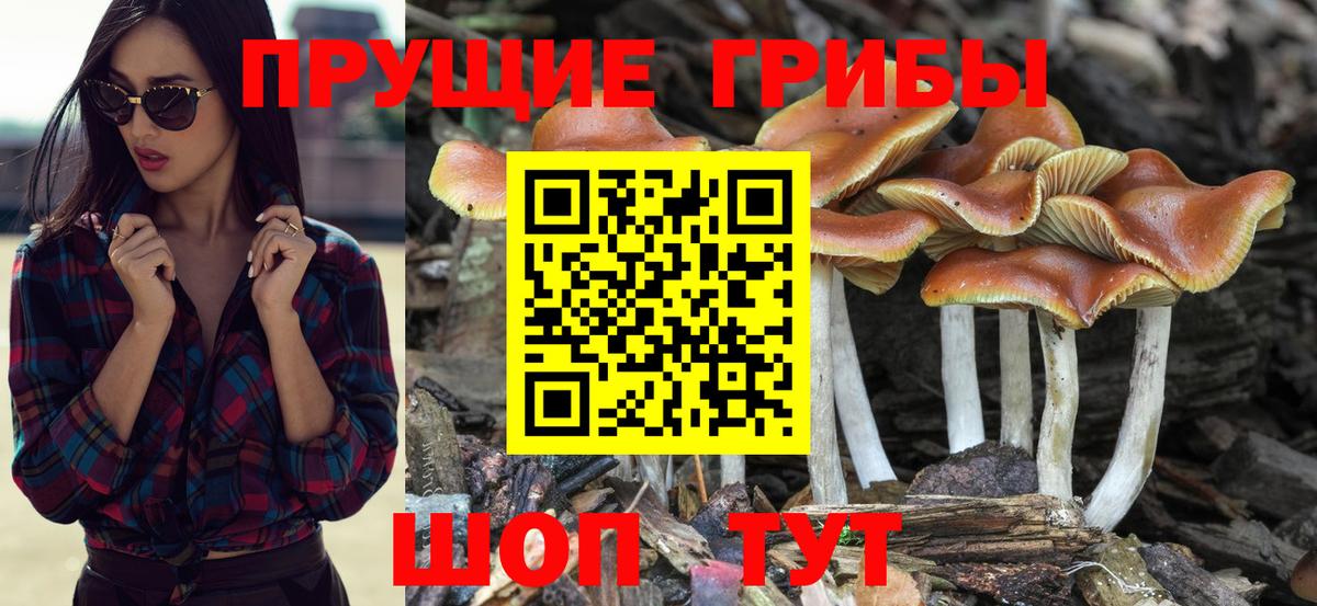Галлюциногенные грибы MAGIC MUSHROOMS  Чита 