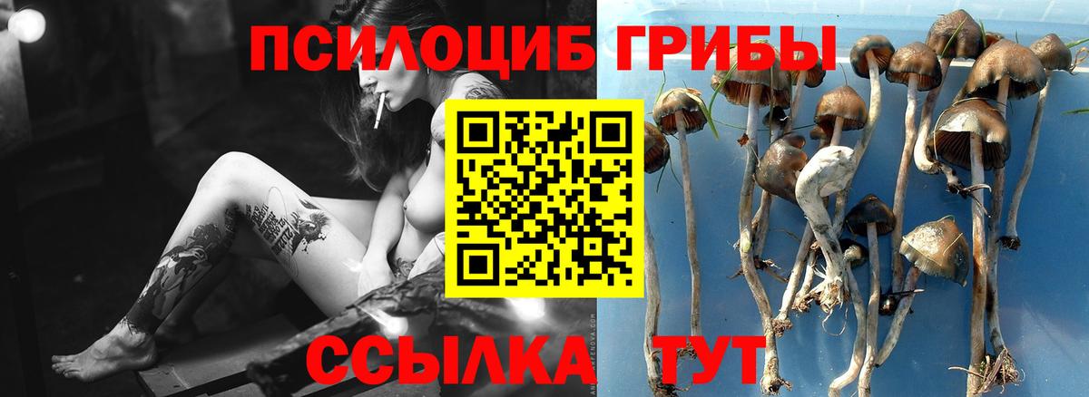 Псилоцибиновые грибы мухоморы Чита